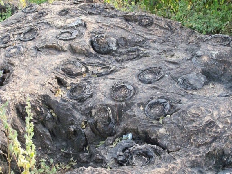 Salkhan Fossil Park: India’s Ancient Fossil Site