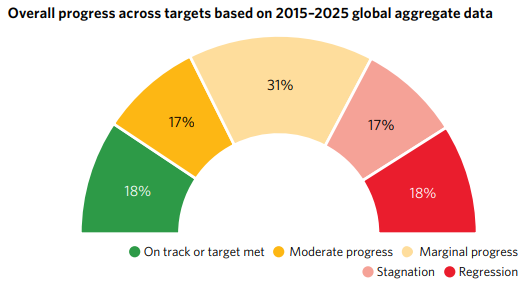 UN SDG Report 2025