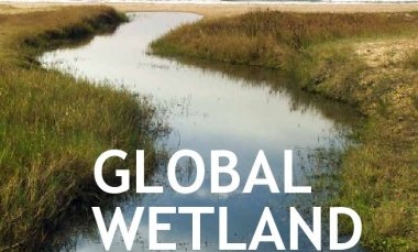 Global Wetland Outlook 2025: Alarming Decline, Urgent Restoration Needed