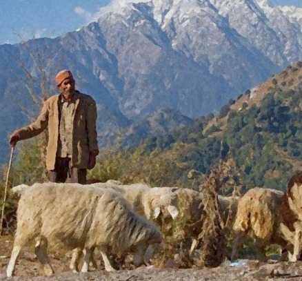 Hatti Tribe of Himachal Pradesh