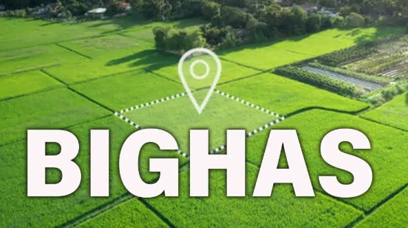 Bigha: Traditional Land Measurement Unit in South Asia