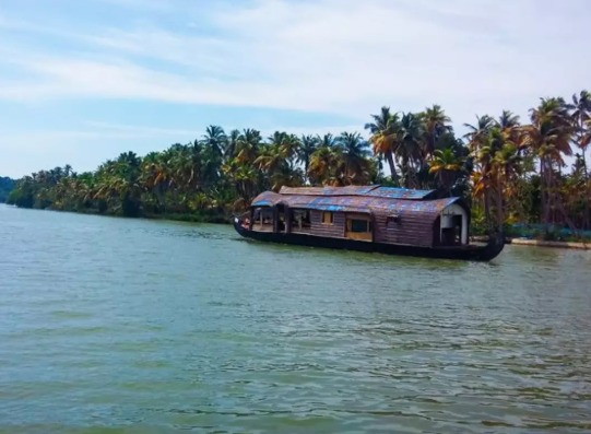 Kerala HC Directs Creation of Ashtamudi Wetland Management Unit