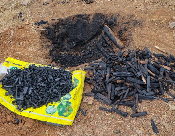 Biochar to Play Key Role in India’s Carbon Market Set for 2026 Launch