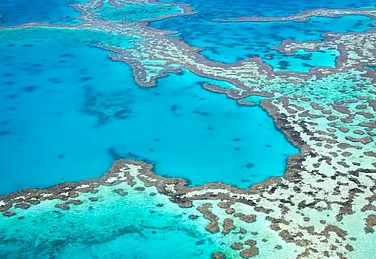 Great Barrier Reef Records Steepest Coral Decline in Nearly 40 Years
