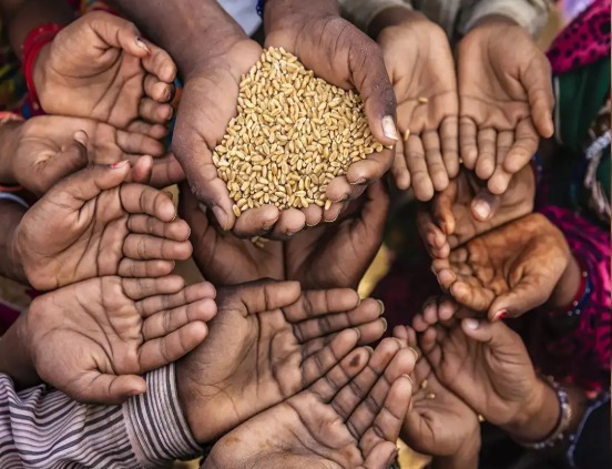 UN Warns of Rising Global Food Costs as FAO Price Index Peaks