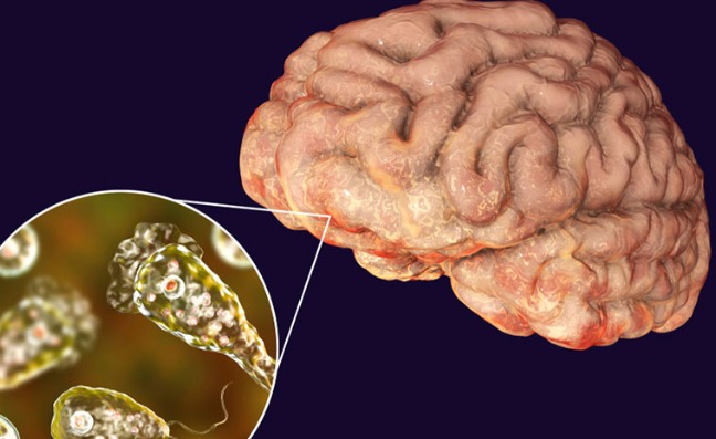 Kerala Reports Rare Brain-Eating Amoeba Infections