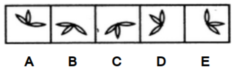 Question illustration 1