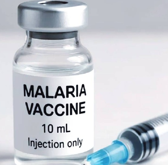 India Launches First Indigenous Multi-Stage Malaria Vaccine