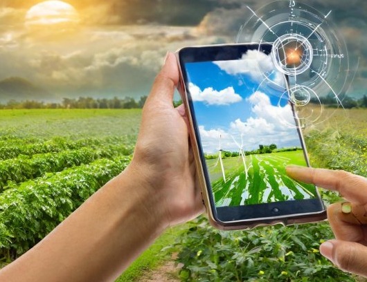 Government Launches AI-Based Weather Forecasting Program for Farmers
