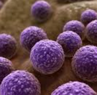 Sharp Rise in Drug-Resistant Infections Threatens U.S. Public Health