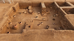 Iron Age Site Discovered in Tamil Nadu Excavation