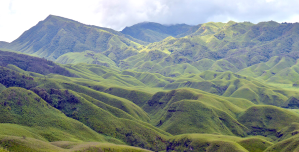 Nagaland Nominates Dzükou Valley as Global Tourist Spot