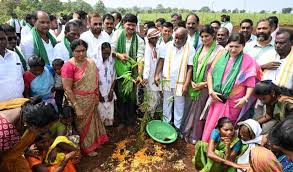 Bamboo Project Launched for Kolam Tribe in Adilabad under Green India Challenge
