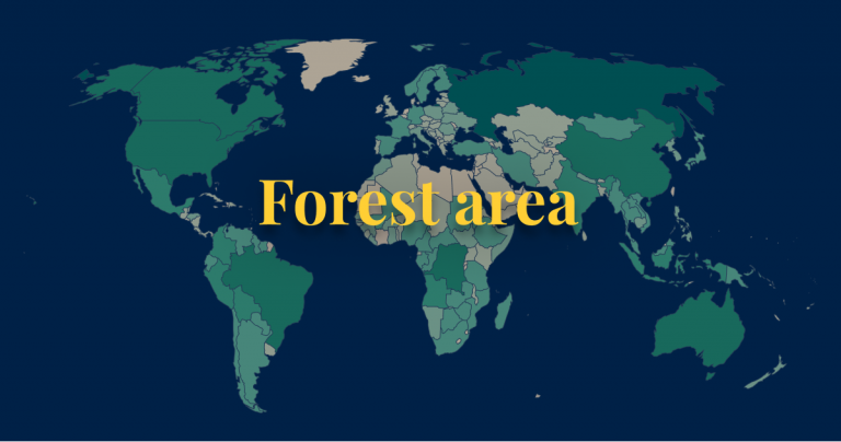 India Jumps to 9th in Global Forest Area, Holds 3rd in Annual Gain