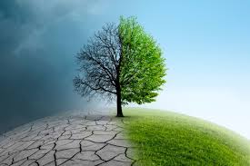 India Slips 13 Places in Global Climate Change Index