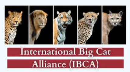 Russia Joins India-Led International Big Cat Alliance