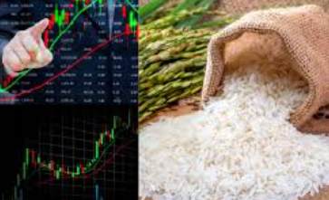 Trump’s Tariff Warning Triggers Sell-Off in Indian Rice Stocks