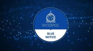 Blue Corner Notice – INTERPOL Mechanism