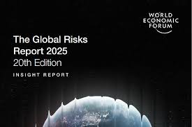 Global Risk Report 2025
