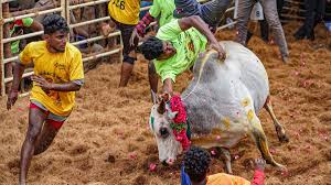SOP for Jallikattu 2026