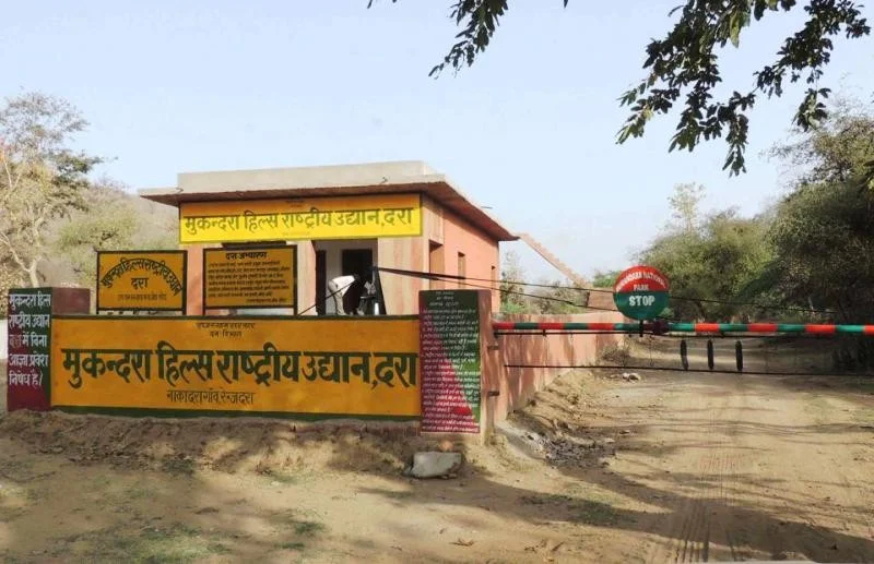 Mukundra Hills Tiger Reserve (MHTR)