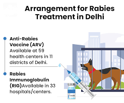 Rabies Declared Notifiable Disease in Delhi