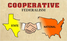 DISHA and Cooperative Federalism
