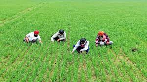 National Mission for Sustainable Agriculture (NMSA)