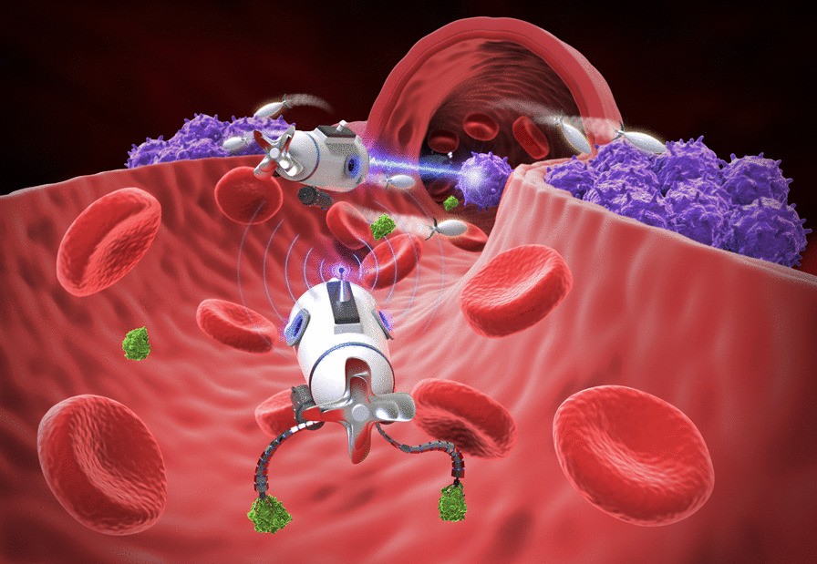 Nanorobots in Healthcare