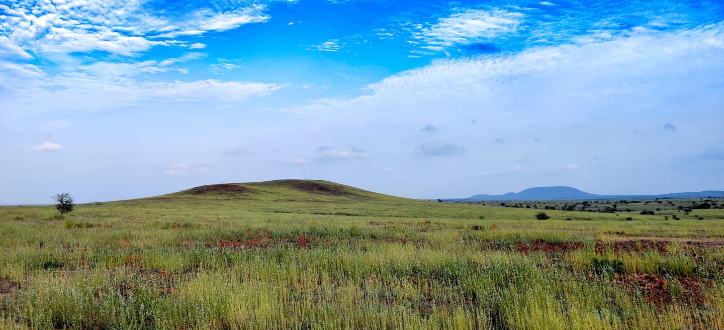 Conservation of Grasslands