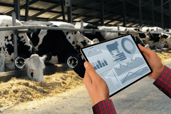 Digital Transformation of India’s Dairy Sector
