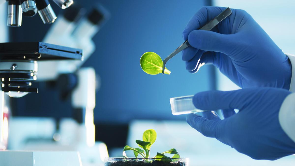 Marine and Space Biotechnology