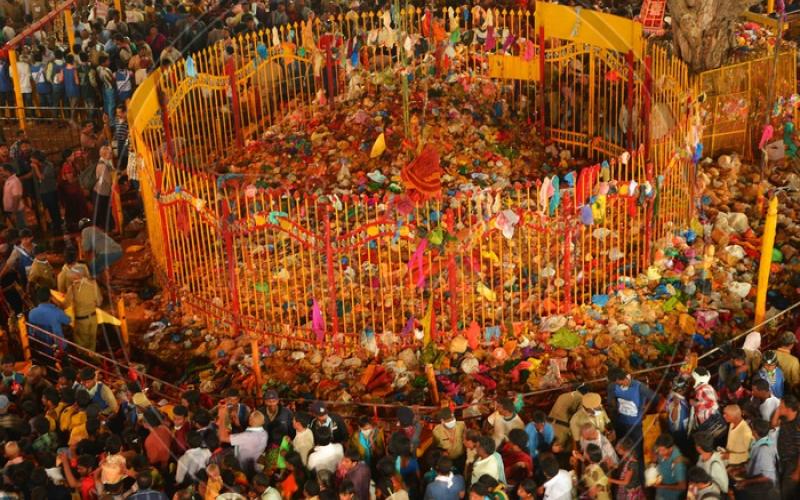 Sammakka–Saralamma Jatara