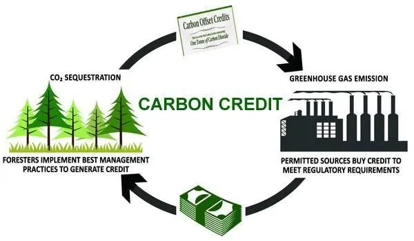 Carbon Credit Trading Scheme (CCTS)