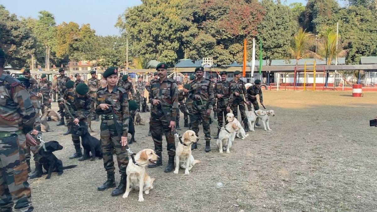 Indigenous Dogs for Assam Rifles Dog Squad