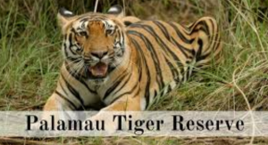 Palamu Tiger Reserve
