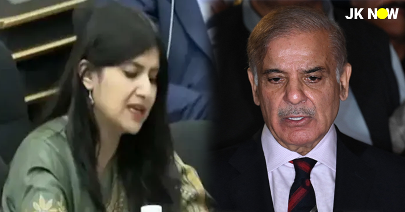 India Slams Pakistan At UNHRC On J&K