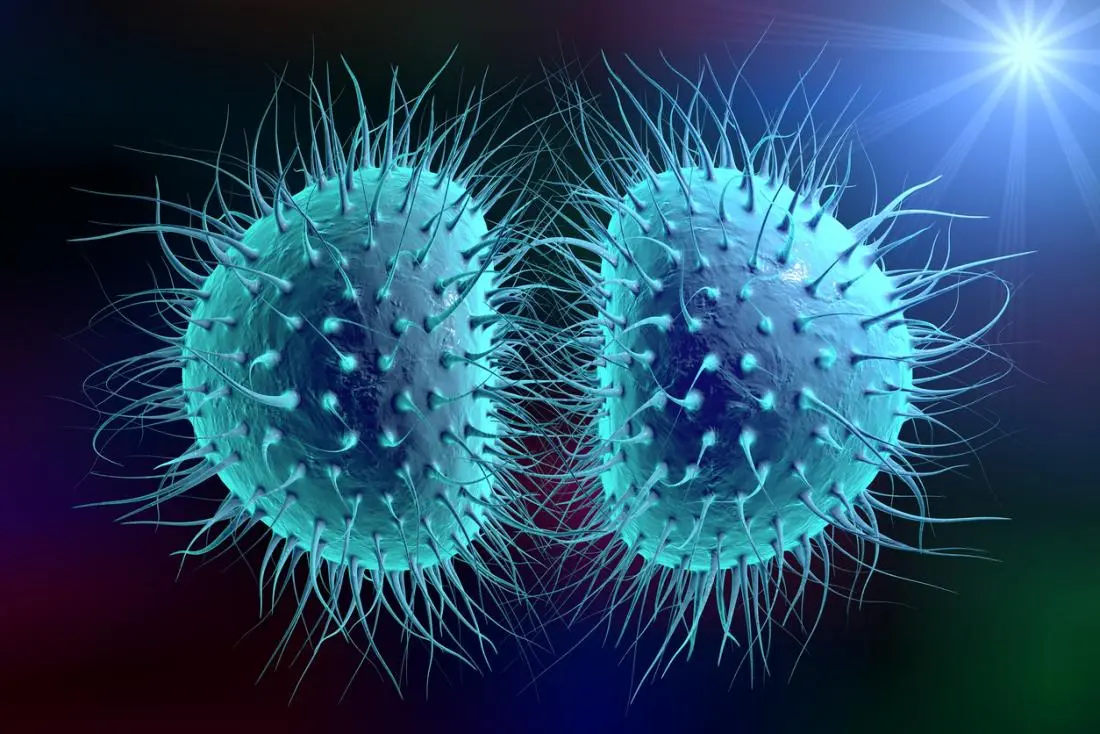 Meningococcal Bacterial Infection