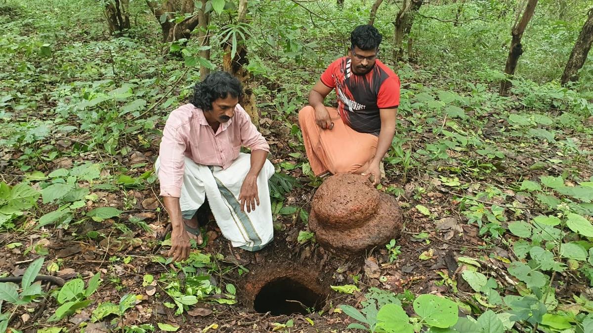Megalithic Laterite Rock-Cut Chamber in Kerala