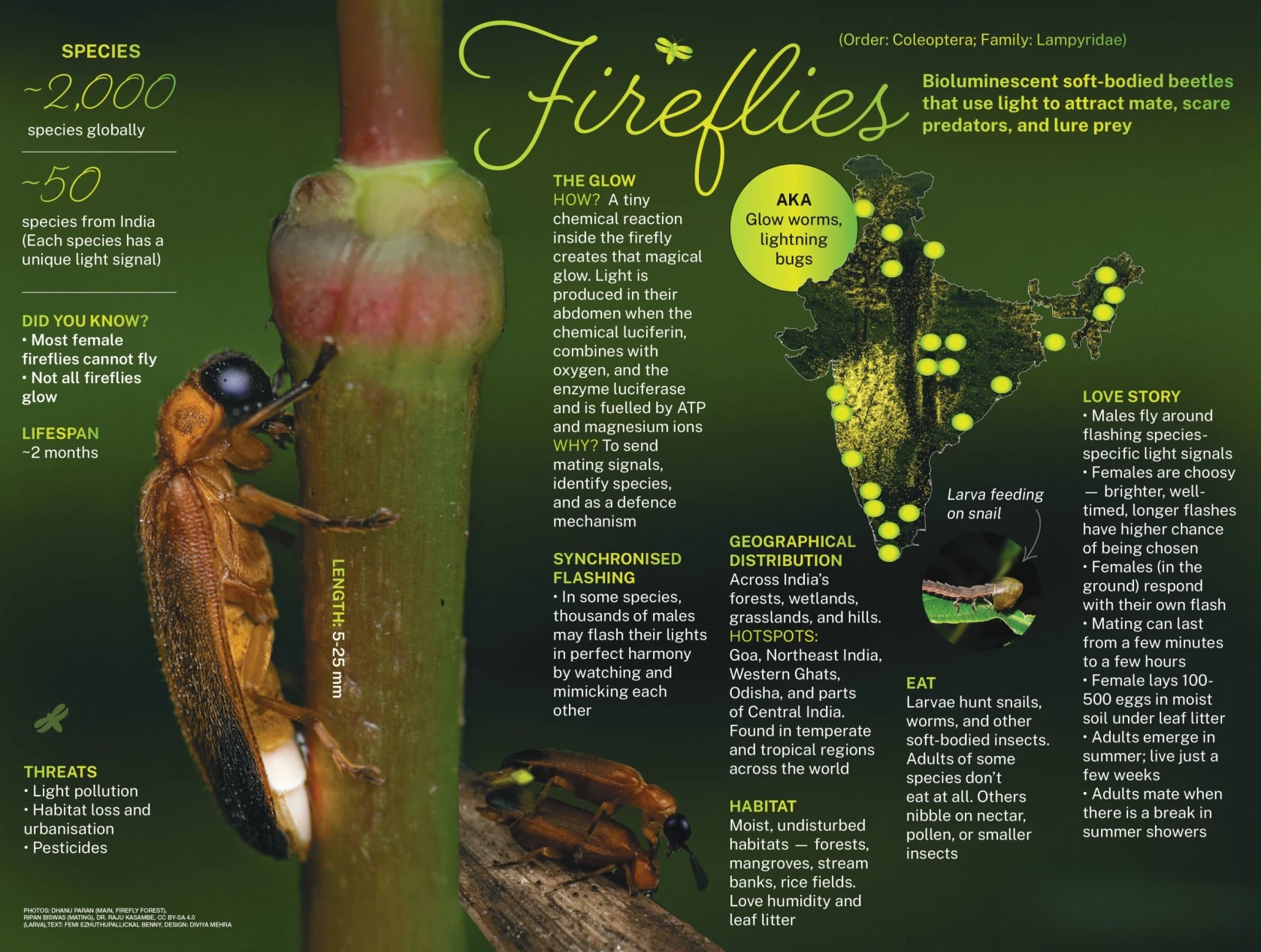 ndia’s 1st Comprehensive Checklist of Fireflies