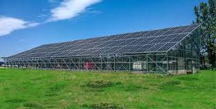 Agri-Photovoltaics (AgriPV)