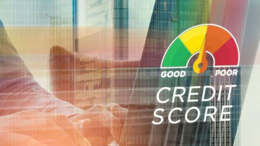 Grameen Credit Score