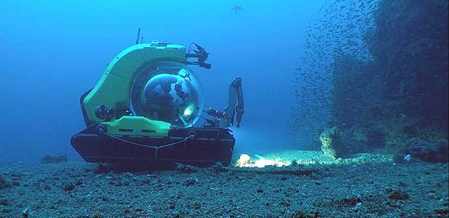 India’s 1st Deep-Sea Fauna Repository