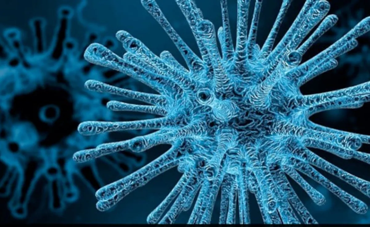 Chandipura Virus (CHPV)