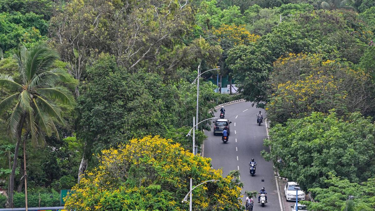CAG Flags Major Shortfalls in Green India Mission