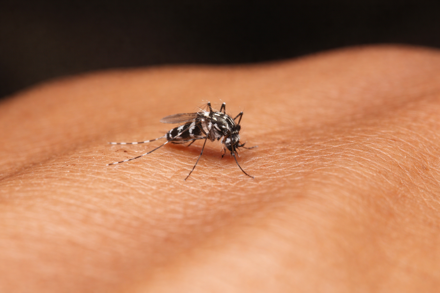 India Strengthens Efforts to Eliminate Malaria by 2030