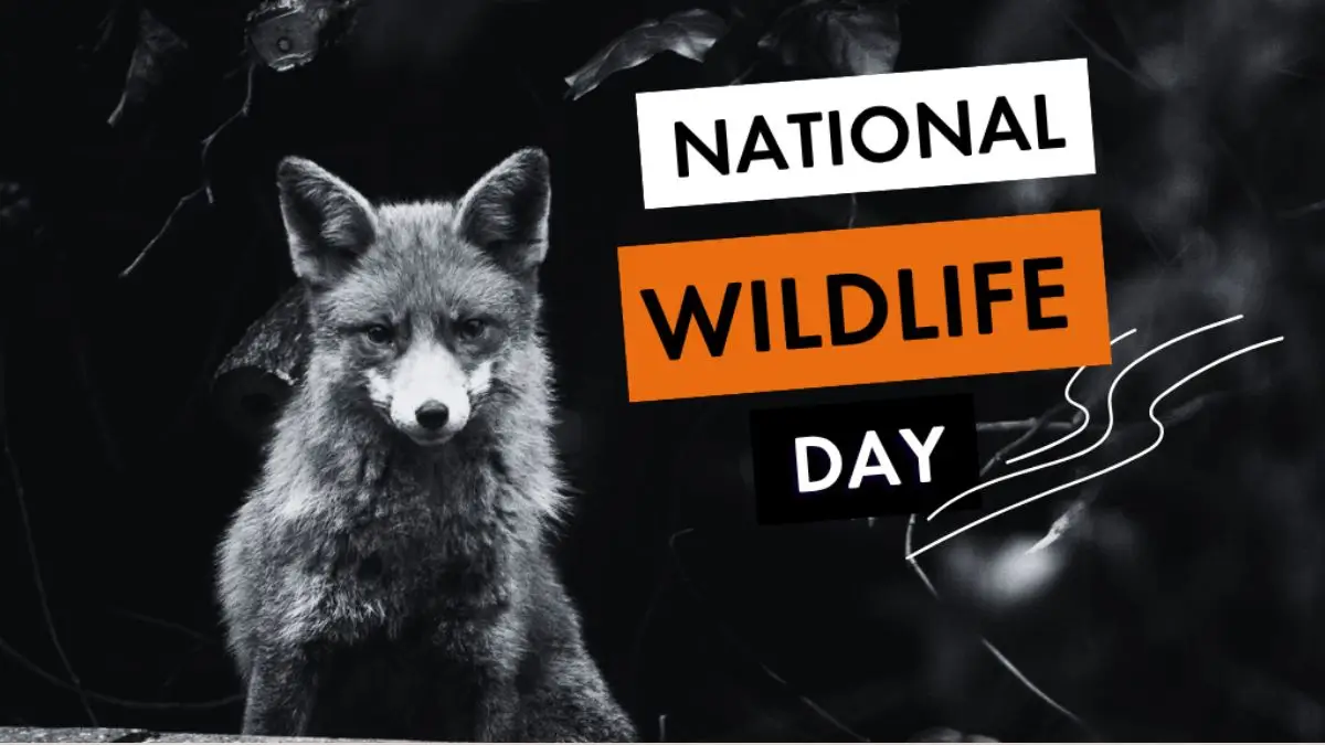 National Wildlife Day 2026